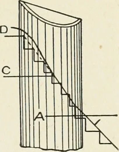 An illustration from Cyclopedia of architecture, carpentry, and building : a general reference work, 1912, leaf 374