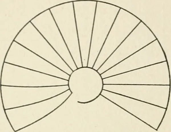 An illustration from Cyclopedia of architecture, carpentry, and building : a general reference work, 1912, leaf 379