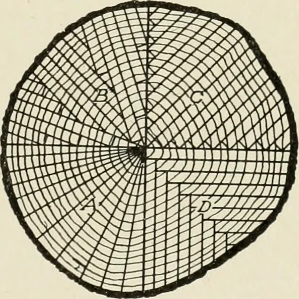An illustration from Cyclopedia of architecture, carpentry, and building : a general reference work, 1912, leaf 38