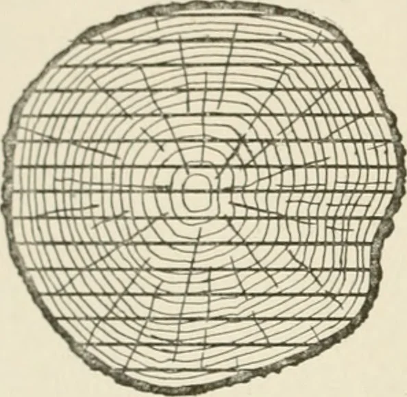 An illustration from Cyclopedia of architecture, carpentry, and building : a general reference work, 1912, leaf 39