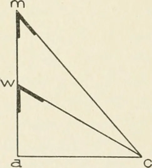 An illustration from Cyclopedia of architecture, carpentry, and building : a general reference work, 1912, leaf 401