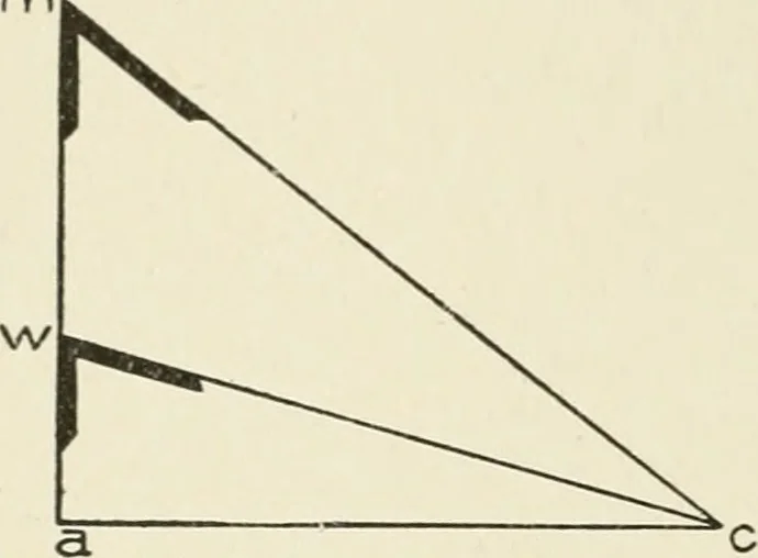 An illustration from Cyclopedia of architecture, carpentry, and building : a general reference work, 1912, leaf 403