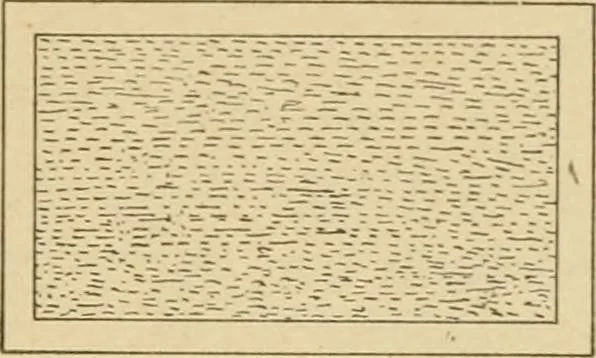 An illustration from Cyclopedia of architecture, carpentry, and building : a general reference work ..., 1907, leaf 356