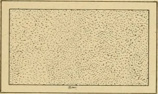 An illustration from Cyclopedia of architecture, carpentry, and building : a general reference work ..., 1907, leaf 356