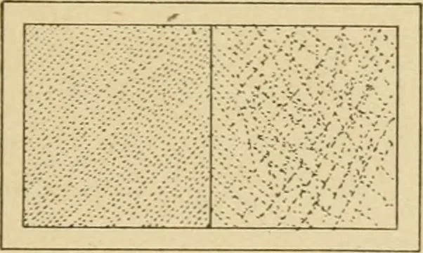 An illustration from Cyclopedia of architecture, carpentry, and building : a general reference work ..., 1907, leaf 356