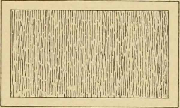 An illustration from Cyclopedia of architecture, carpentry, and building : a general reference work ..., 1907, leaf 356