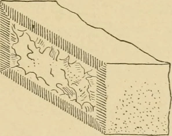 An illustration from Cyclopedia of architecture, carpentry, and building : a general reference work ..., 1907, leaf 356