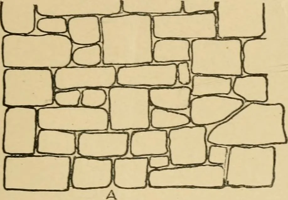 An illustration from Cyclopedia of architecture, carpentry, and building : a general reference work ..., 1907, leaf 362
