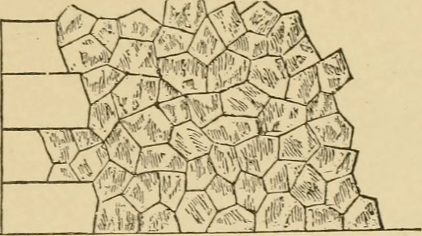 An illustration from Cyclopedia of architecture, carpentry, and building : a general reference work ..., 1907, leaf 362