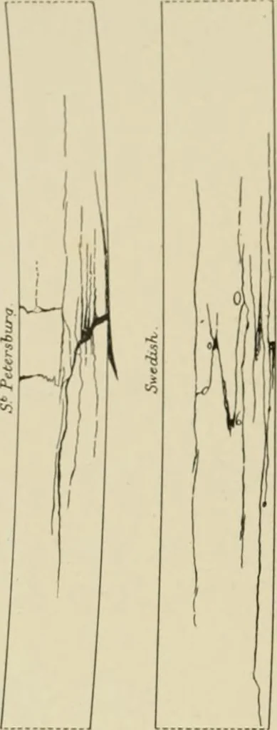 An illustration from Cyclopedia of architecture, carpentry, and building : a general reference work ..., 1907, leaf 93