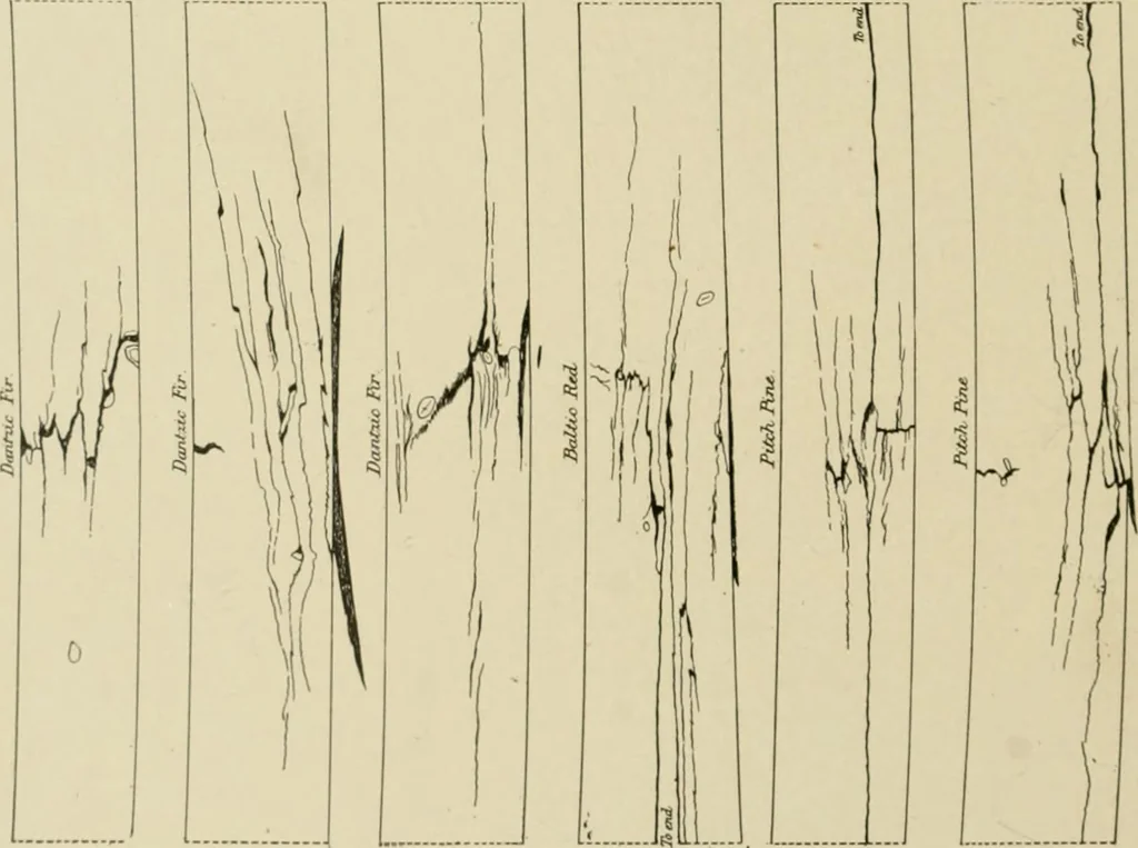 An illustration from Cyclopedia of architecture, carpentry, and building : a general reference work ..., 1907, leaf 93