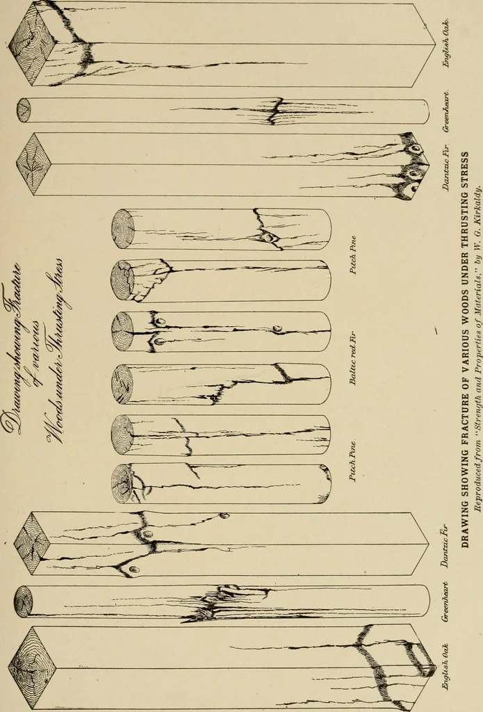 An illustration from Cyclopedia of architecture, carpentry, and building : a general reference work ..., 1907, leaf 94