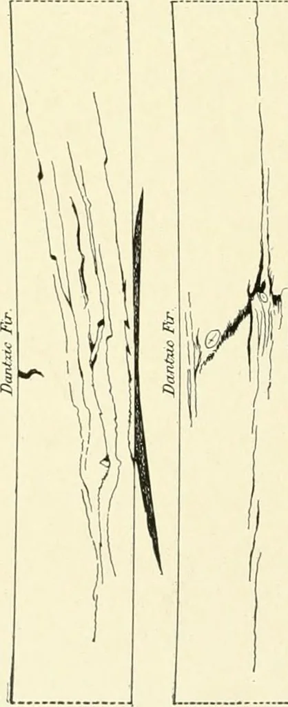 An illustration from Cyclopedia of architecture, carpentry, and building : a general reference work, 1912, leaf 95