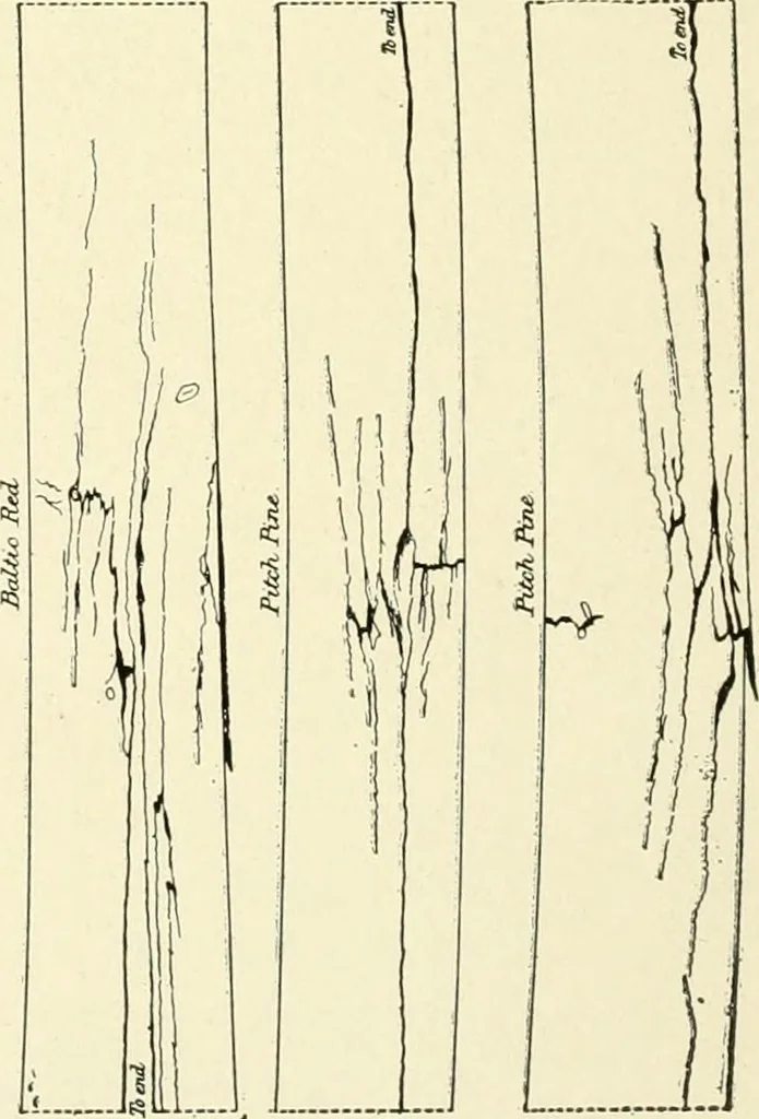 An illustration from Cyclopedia of architecture, carpentry, and building : a general reference work, 1912, leaf 95
