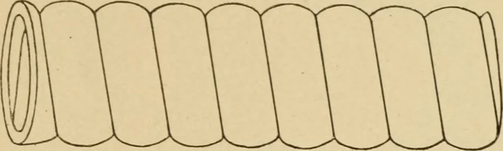 An illustration from Cyclopedia of architecture, carpentry, and building : a general reference work ..., 1907, leaf 247