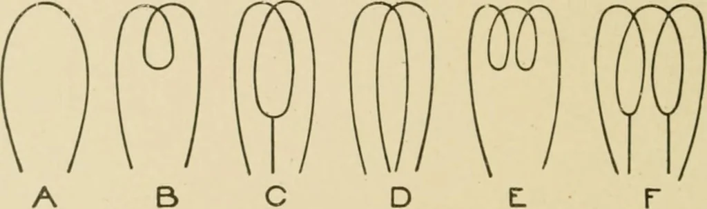 An illustration from Cyclopedia of architecture, carpentry, and building : a general reference work ..., 1907, leaf 346