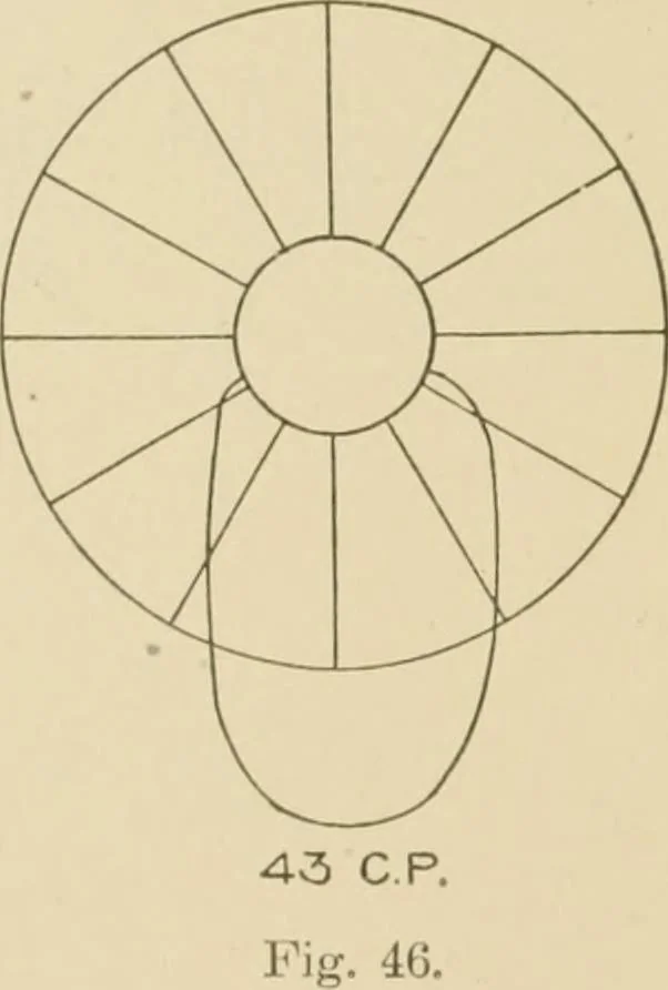 An illustration from Cyclopedia of architecture, carpentry, and building : a general reference work ..., 1907, leaf 408