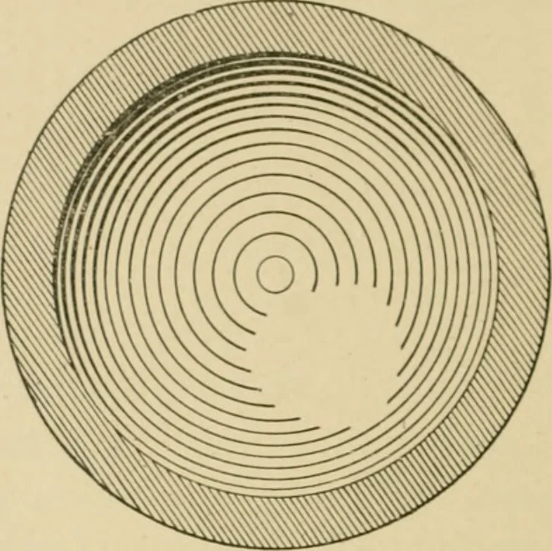 An illustration from Cyclopedia of architecture, carpentry, and building : a general reference work ..., 1907, leaf 187