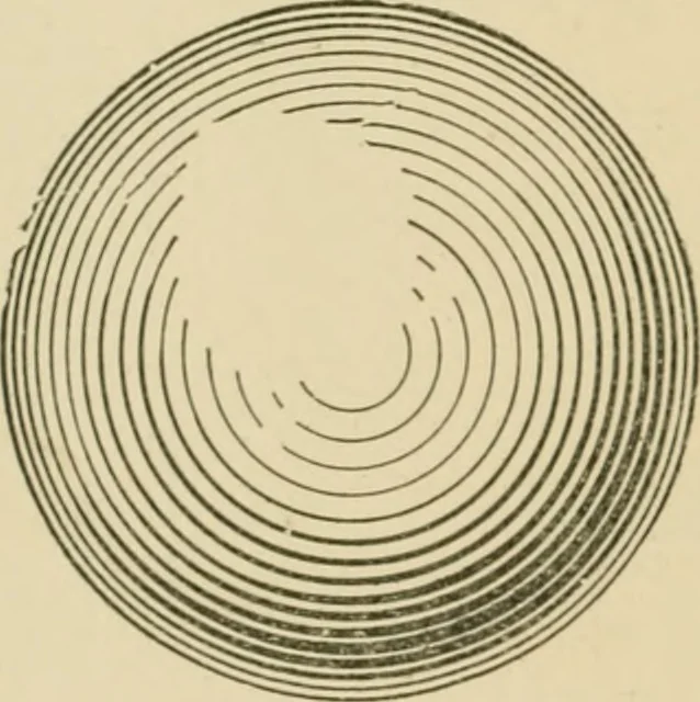 An illustration from Cyclopedia of architecture, carpentry, and building : a general reference work ..., 1907, leaf 187