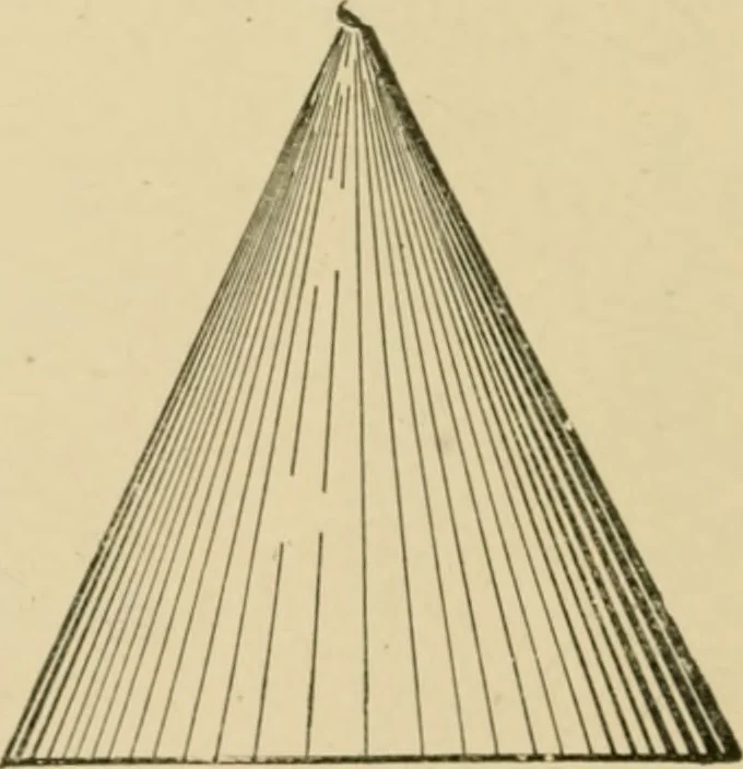 An illustration from Cyclopedia of architecture, carpentry, and building : a general reference work ..., 1907, leaf 187