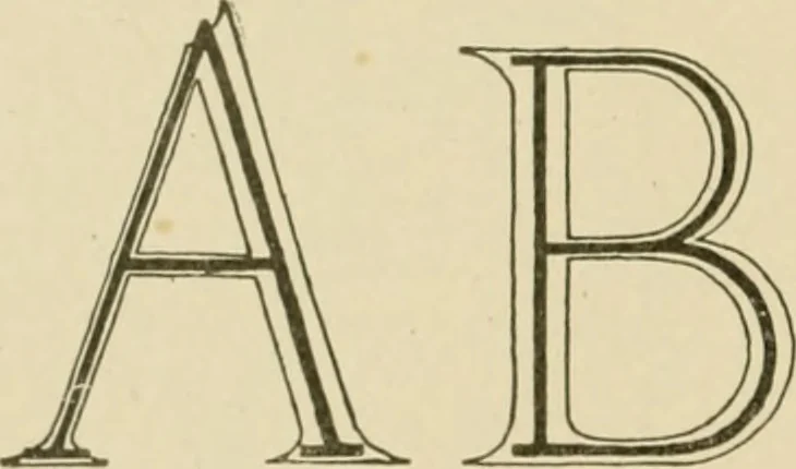 An illustration from Cyclopedia of architecture, carpentry, and building : a general reference work ..., 1907, leaf 233
