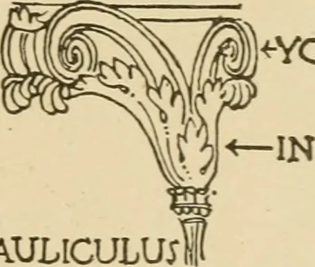 An illustration from Cyclopedia of architecture, carpentry, and building : a general reference work ..., 1907, leaf 242