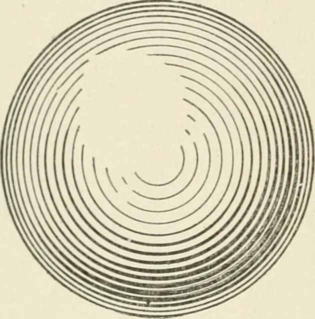 An illustration from Cyclopedia of architecture, carpentry, and building : a general reference work, 1912, leaf 165
