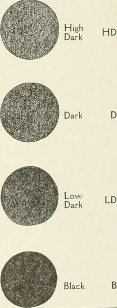 An illustration from Cyclopedia of architecture, carpentry, and building : a general reference work, 1912, leaf 334
