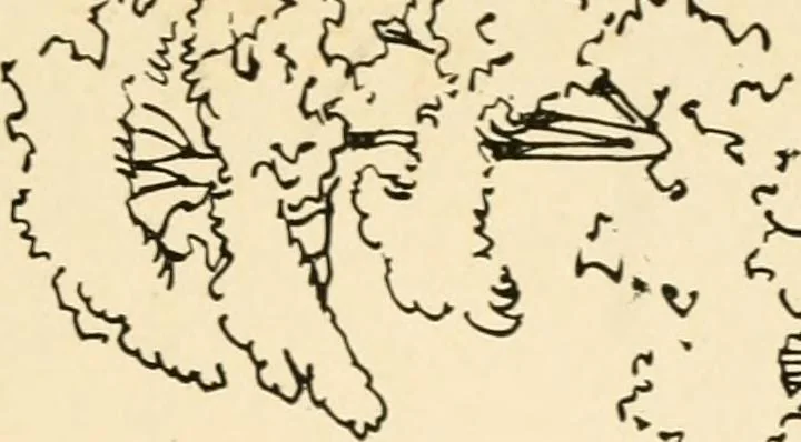 An illustration from Cyclopedia of architecture, carpentry, and building : a general reference work ..., 1907, leaf 145