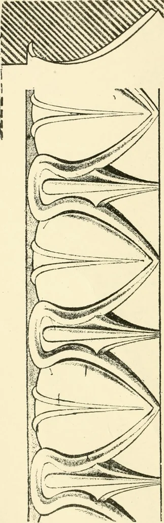 An illustration from Cyclopedia of architecture, carpentry, and building : a general reference work ..., 1907, leaf 70