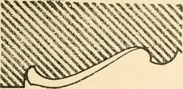 An illustration from Cyclopedia of architecture, carpentry, and building : a general reference work ..., 1907, leaf 71