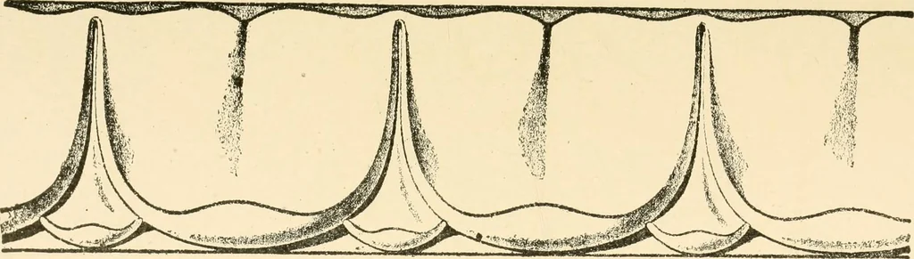 An illustration from Cyclopedia of architecture, carpentry, and building : a general reference work ..., 1907, leaf 71