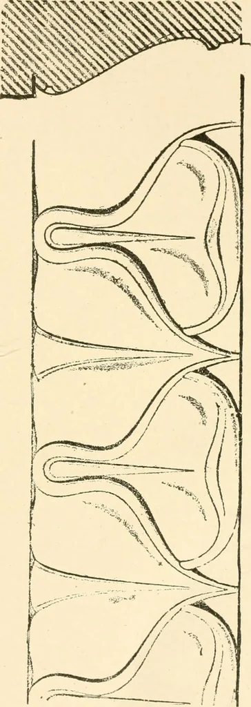 An illustration from Cyclopedia of architecture, carpentry, and building : a general reference work ..., 1907, leaf 71