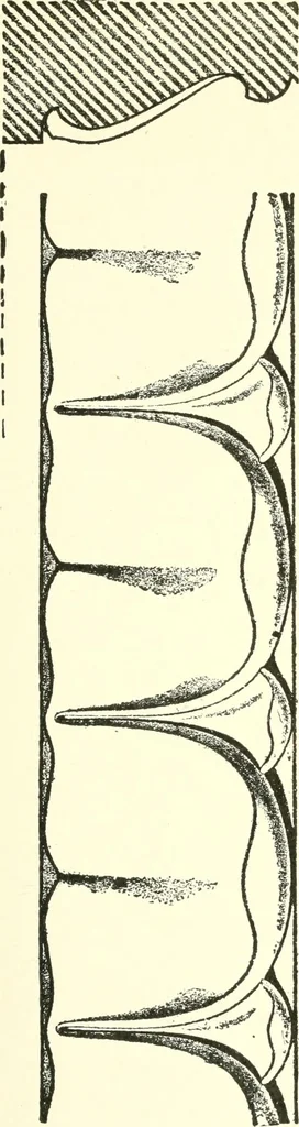 An illustration from Cyclopedia of architecture, carpentry, and building : a general reference work, 1912, leaf 76