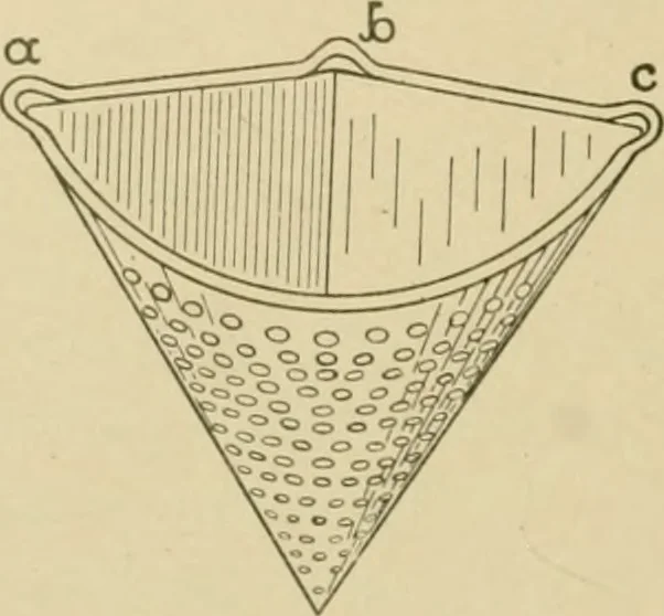 An illustration from Cyclopedia of architecture, carpentry, and building : a general reference work ..., 1907, leaf 109
