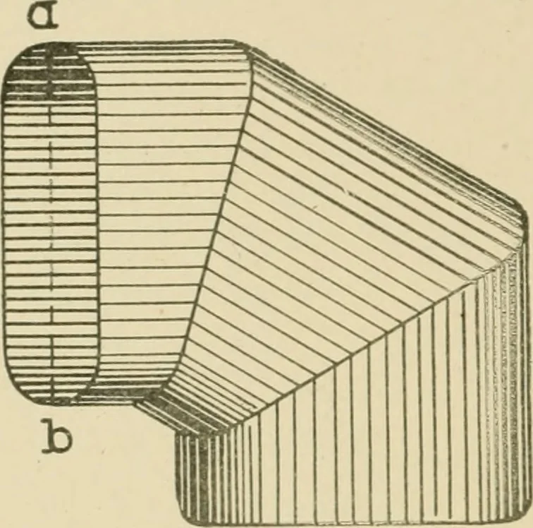 An illustration from Cyclopedia of architecture, carpentry, and building : a general reference work ..., 1907, leaf 141