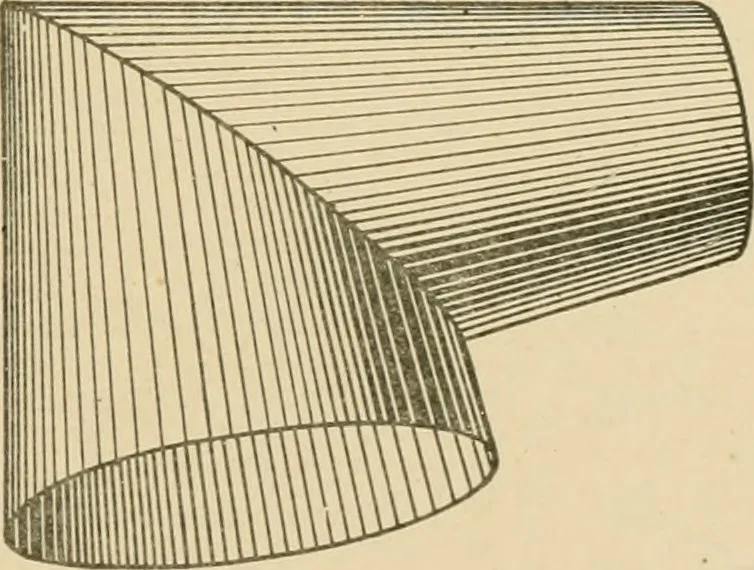 An illustration from Cyclopedia of architecture, carpentry, and building : a general reference work ..., 1907, leaf 142