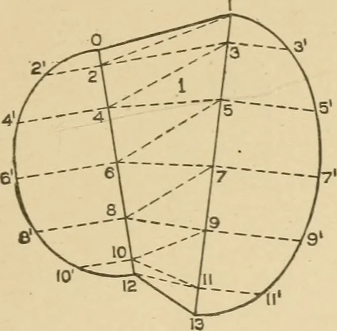 An illustration from Cyclopedia of architecture, carpentry, and building : a general reference work ..., 1907, leaf 150