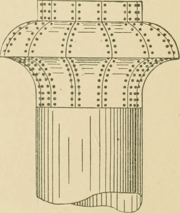 An illustration from Cyclopedia of architecture, carpentry, and building : a general reference work ..., 1907, leaf 237