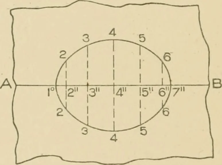 An illustration from Cyclopedia of architecture, carpentry, and building : a general reference work ..., 1907, leaf 245