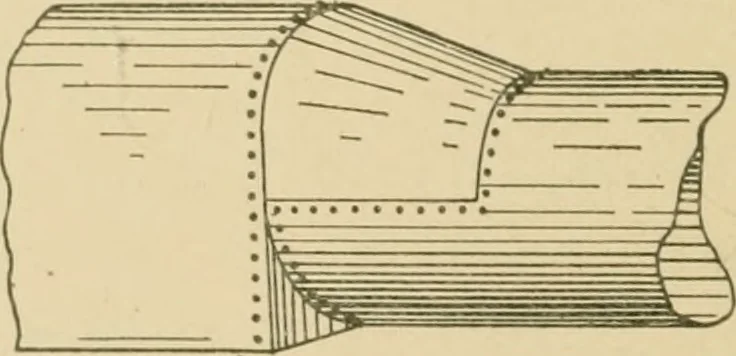 An illustration from Cyclopedia of architecture, carpentry, and building : a general reference work ..., 1907, leaf 245