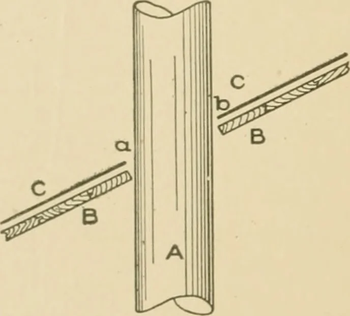 An illustration from Cyclopedia of architecture, carpentry, and building : a general reference work ..., 1907, leaf 319