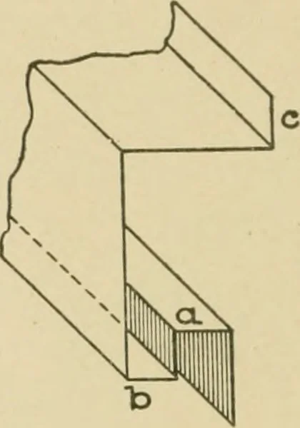 An illustration from Cyclopedia of architecture, carpentry, and building : a general reference work ..., 1907, leaf 339