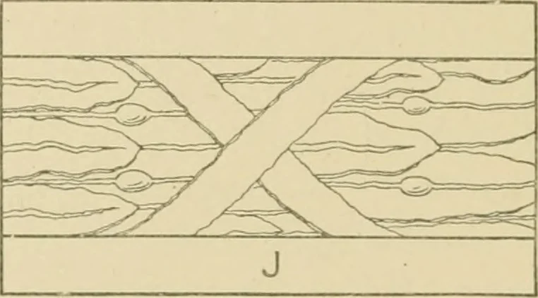 An illustration from Cyclopedia of architecture, carpentry, and building : a general reference work ..., 1907, leaf 359