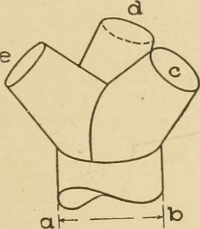 An illustration from Cyclopedia of architecture, carpentry, and building : a general reference work ..., 1907, leaf 432