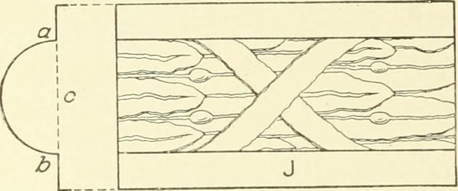 An illustration from Cyclopedia of architecture, carpentry, and building : a general reference work, 1912, leaf 297