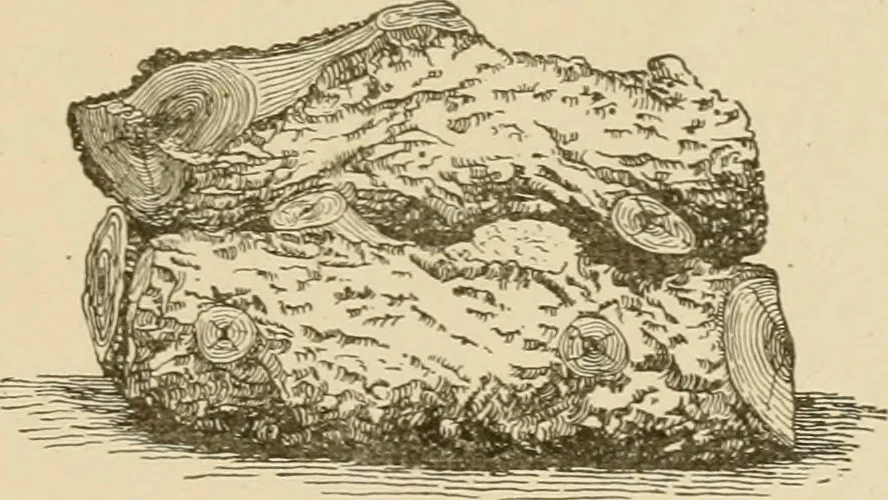An illustration from Cyclopedia of architecture, carpentry, and building : a general reference work ..., 1907, leaf 408