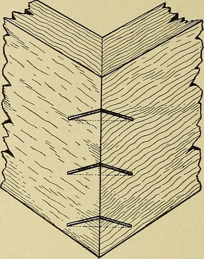 An illustration from Cyclopedia of architecture, carpentry, and building; a general reference work .., 1912, leaf 100