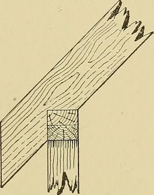 An illustration from Cyclopedia of architecture, carpentry, and building; a general reference work .., 1912, leaf 119
