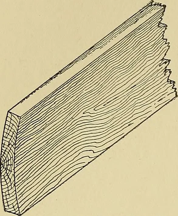 An illustration from Cyclopedia of architecture, carpentry, and building; a general reference work .., 1912, leaf 134